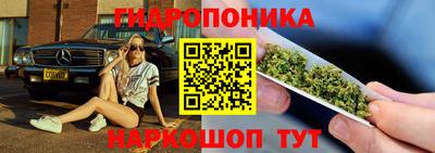 сатива Новокубанск