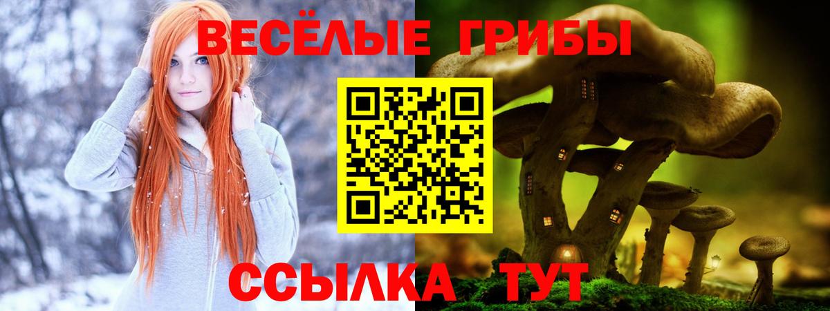 Ставрополь  Псилоцибиновые грибы Magic Shrooms  Галлюциногенные грибы GOLDEN TEACHER  Вход с VPN 